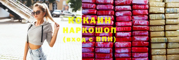 гашик Аркадак
