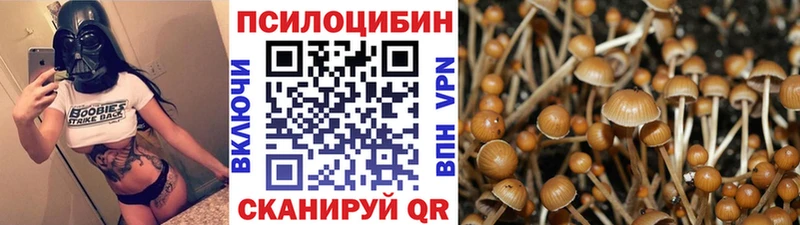 Купить где  Белогорск  Псилоцибиновые грибы ЛСД 