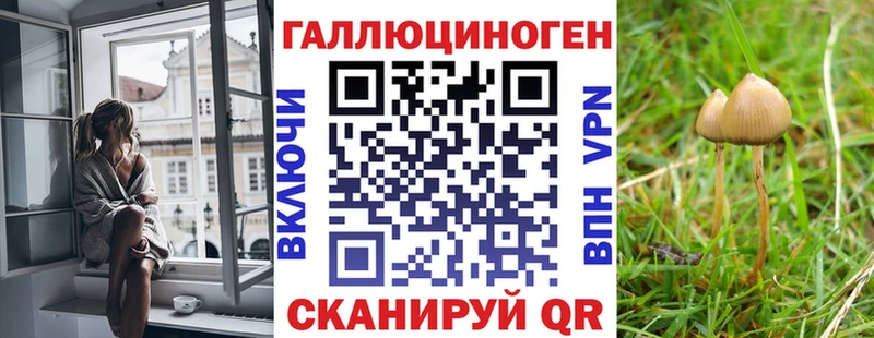 Псилоцибиновые грибы мицелий Белогорск